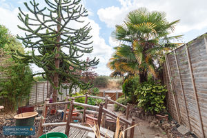 Front Garden- click for photo gallery